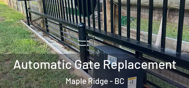Automatic Gate Replacement Maple Ridge - BC