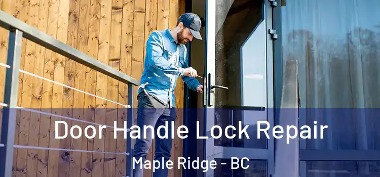Door Handle Lock Repair Maple Ridge - BC