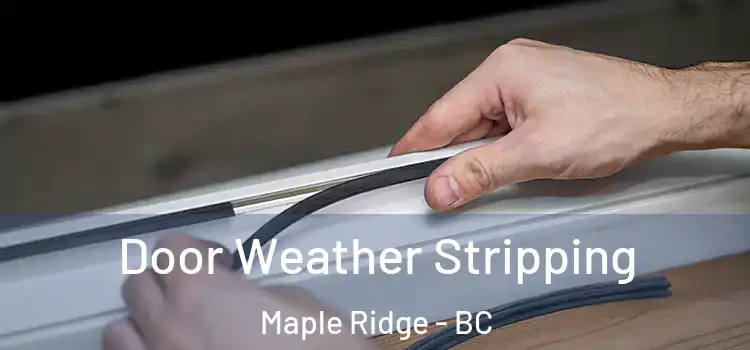 Door Weather Stripping Maple Ridge - BC