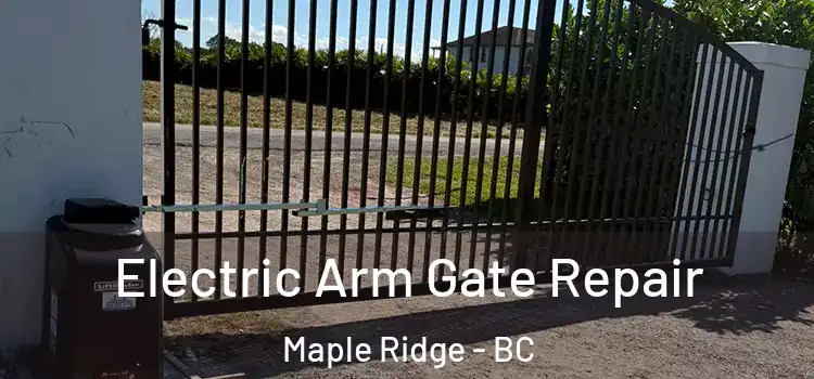 Electric Arm Gate Repair Maple Ridge - BC