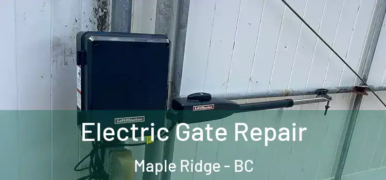Electric Gate Repair Maple Ridge - BC