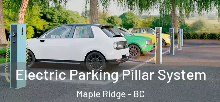 Electric Parking Pillar System Maple Ridge - BC