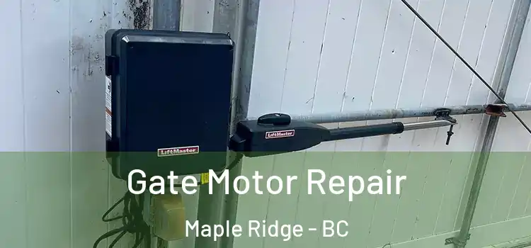 Gate Motor Repair Maple Ridge - BC