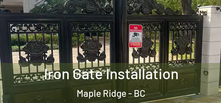 Iron Gate Installation Maple Ridge - BC