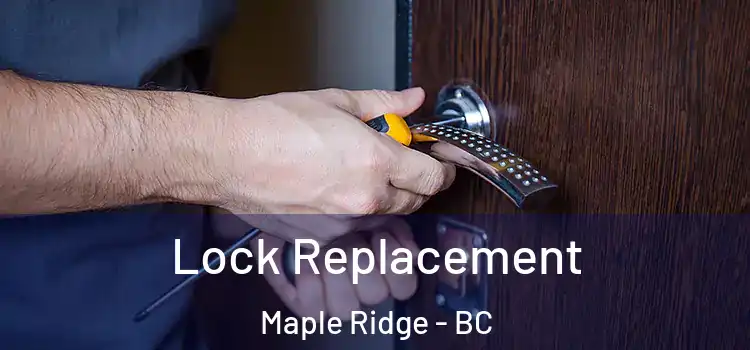 Lock Replacement Maple Ridge - BC
