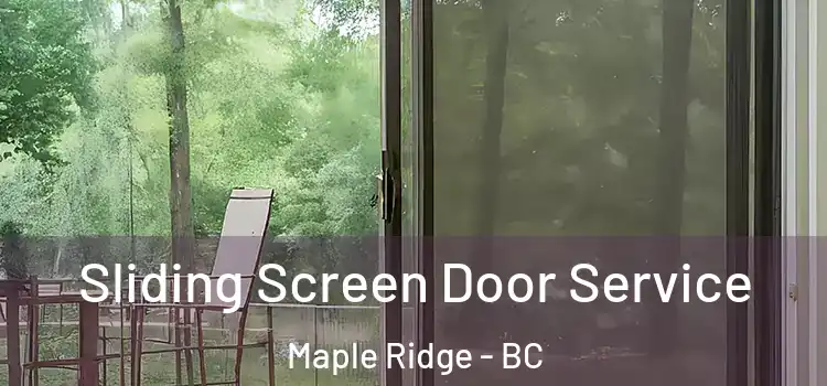 Sliding Screen Door Service Maple Ridge - BC