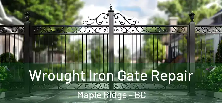Wrought Iron Gate Repair Maple Ridge - BC